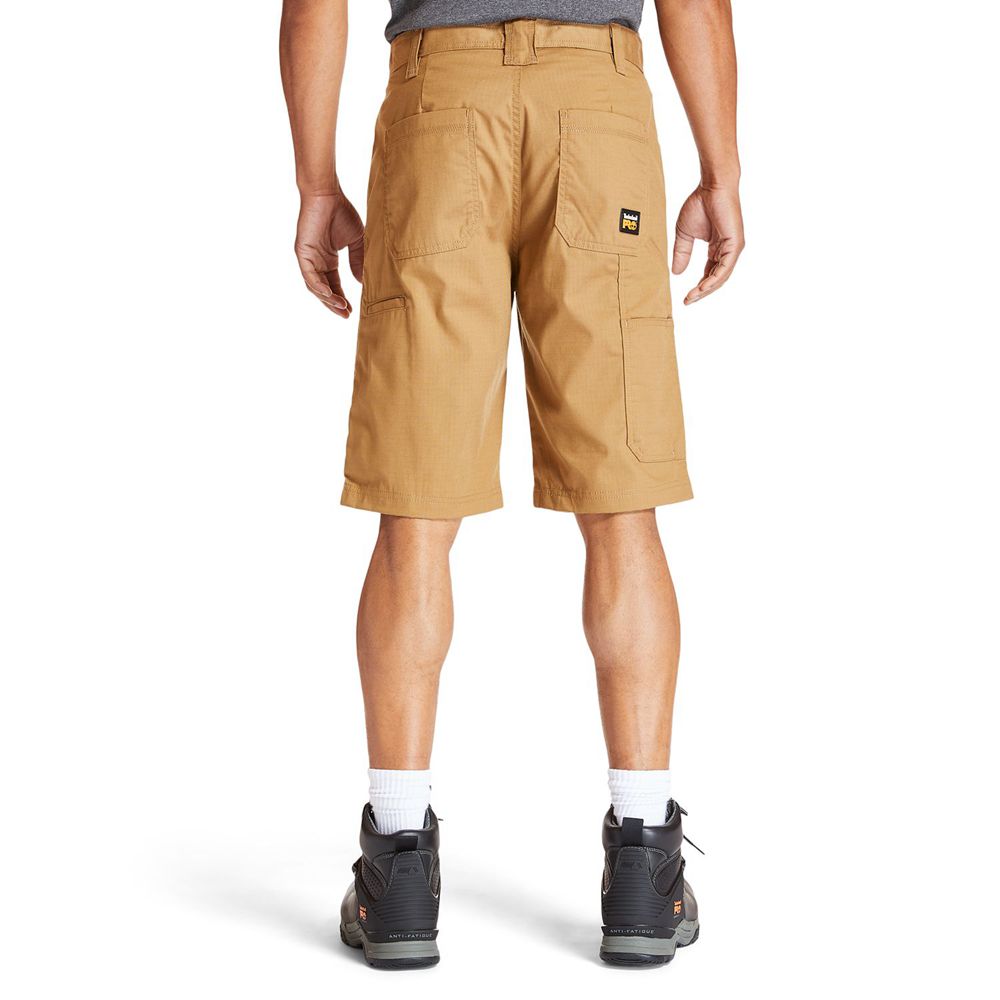 Pantalones Cortos Timberland Hombre Pro® Work Warrior Ripstop Utility Marrones - Chile BYZ-927450